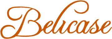 Shenzhen Beili Display Company Limited
